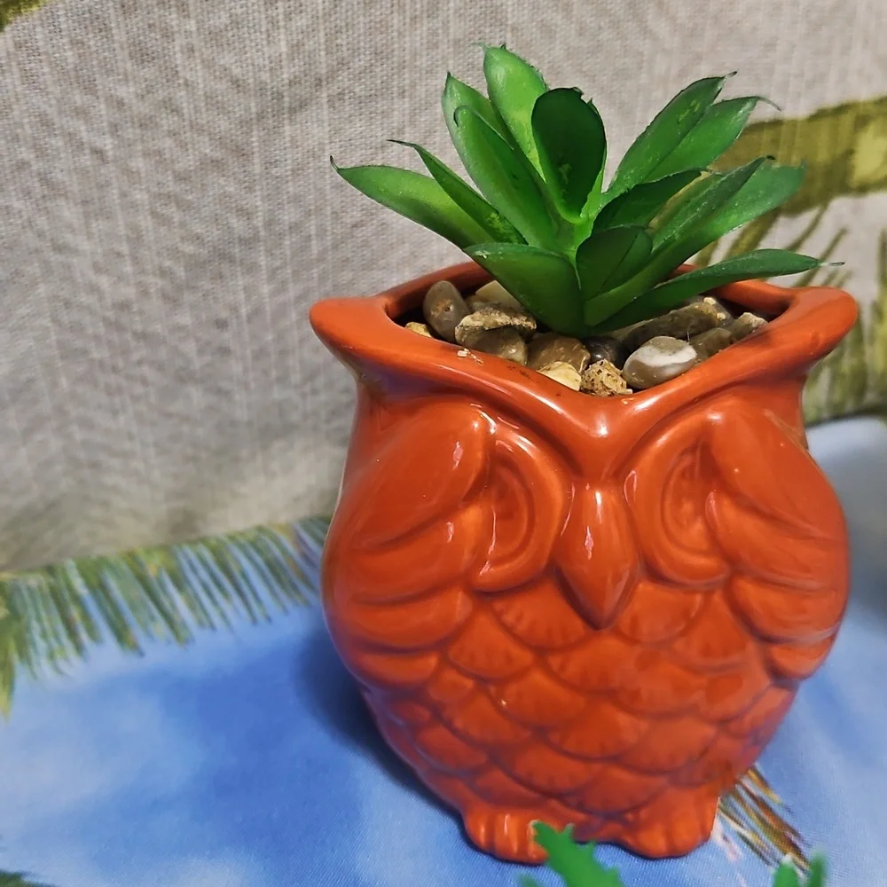Set Of CACTUS decor 4 Piece Set To pink one white one orange owl Not Real